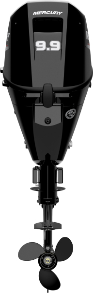 Preview: Mercury F9.9 EL EFI Außenborder