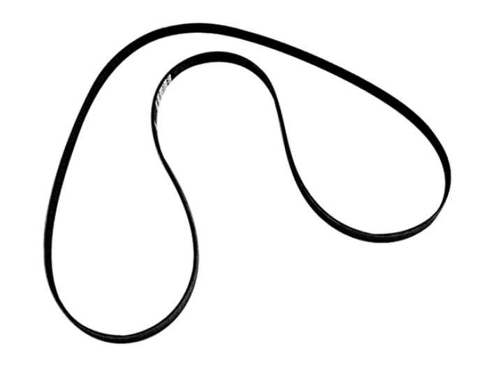 Original Mercruiser Rippenriemen 8M0220620